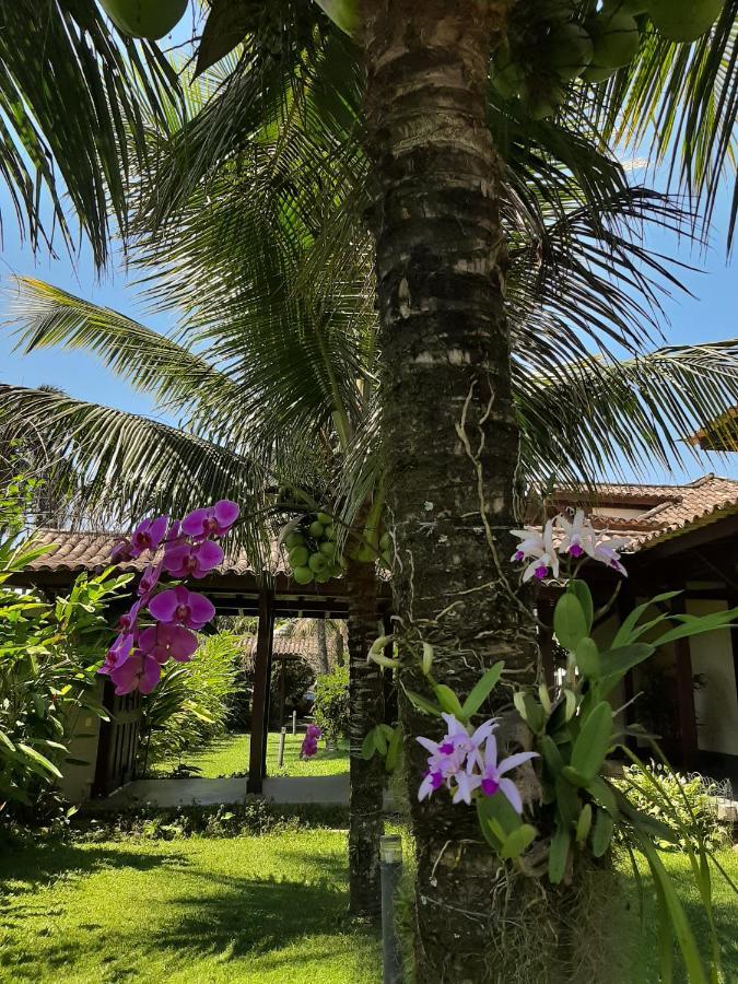 Casa Pomar Do Aconchego Apartman Araquari Kültér fotó